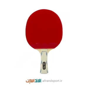 راکت پینگ پنگ فرندشیپ ۱۲ ستاره با کیف